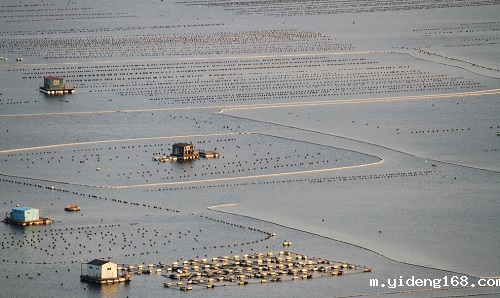 水产养殖行业购置水质检测仪必要性,水质检测仪的优越性能解析