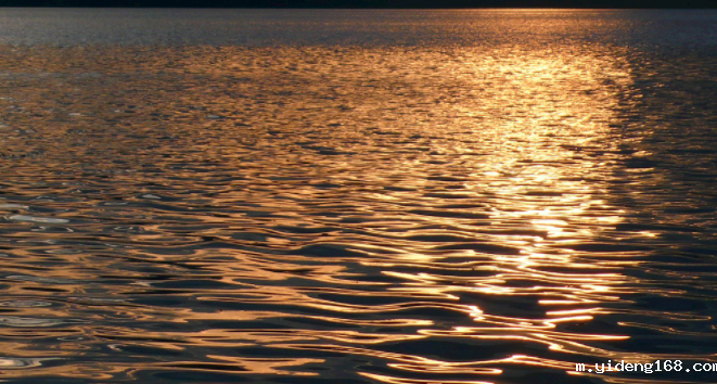 多参数水质检测仪的特征和功能(AG真人官方华体会一站式水质检测仪)