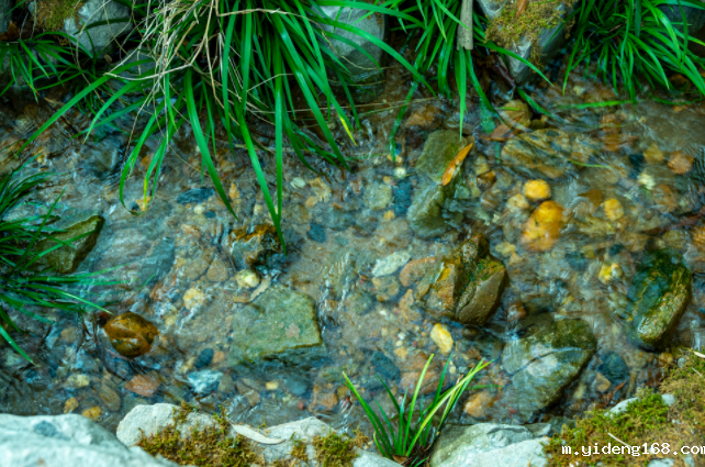 便携式水质检测仪的便携特点介绍(便携式水质检测仪的功能优点)
