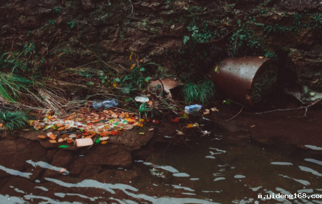 为什么要用水质检测仪做水质检测?(水质超标会怎么样)