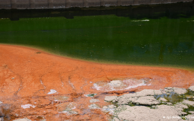 水质重金属分析仪:快速评估污染水体