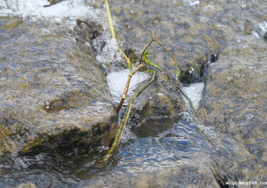 水质六价铬测定仪的工作原理和日常应用