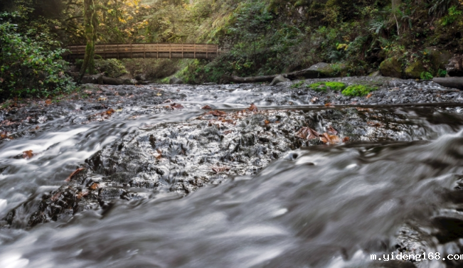 自来水公司为什么要用水质在线监测仪？（自来水水质检测设备）